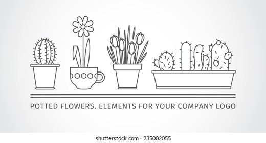 linear design, potted flowers. elements of a corporate logo