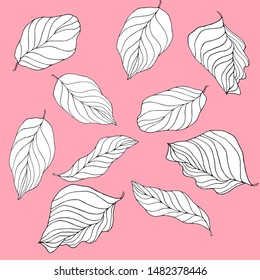 
Linear detailed leaves on a delicate pestle pink background