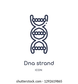 Linear dna strand icon from Education outline collection. Thin line dna strand icon vector isolated on white background. dna strand trendy illustration