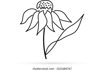 linear doodle flower with leaf, line art, hand drawing flower icon, vector illustration