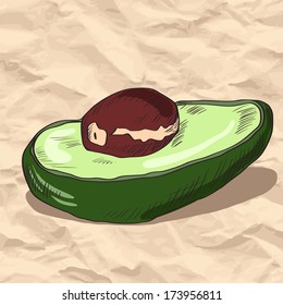 linear drawing avocado at paper, vector illustration