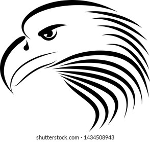 Linear drawing bald eagle genre minimalism