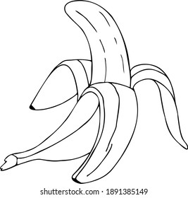 Linear drawing banana isolated on white background. Vector illustration.