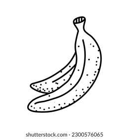 Banana de dibujo lineal aislada en fondo blanco. Doodle o Sketch para colorear la página de reserva. Ilustración del vector