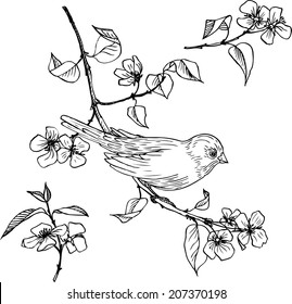 linear drawing bird at branch with flowers and leaves, set of hand drawn design element