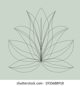 ilustración botánica de dibujo lineal. Diseño de vectores. Concepto de primavera y verano. Dibujo gráfico minimalista. 