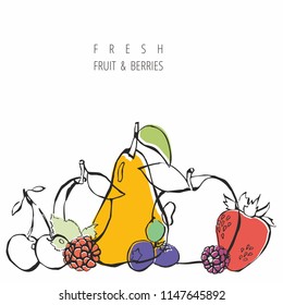 Linear drawing cherry plum apple raspberry blueberry pear blackberry strawberry with color