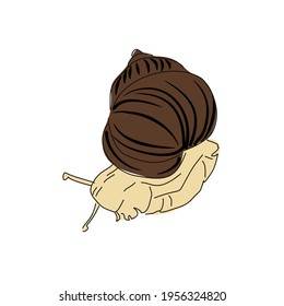 Linear drawing of crawling grape snail