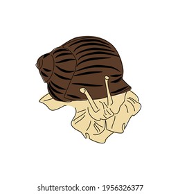 Linear drawing of crawling grape snail