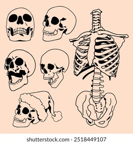 Linear drawing doodle of human skull, Skull head hand drawn style, Sketches about head bones, Components Halloween theme elements.