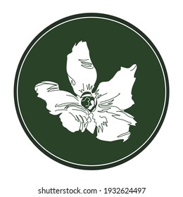 Lineare Zeichnung der exochorda-Blume auf dunkelgrünem Hintergrund. Vektorblumenlogo