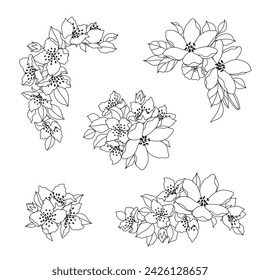 Linear drawing flower bunches isolated on white. Floral set in black outline.  Vector monochrome elegant compositions with jasmine in vintage style, tattoo design, coloring page.
