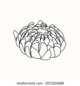 Dibujo lineal de una flor. Diseño para tarjeta de saludo, invitación a la boda, ideas de tatuajes, impresión para ropa y camiseta.