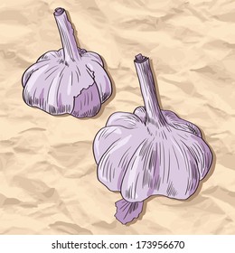 linear drawing garlics at paper, vector illustration
