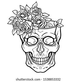 Linear drawing:  human skull    flower vase  Magic  esoteric  occultism  Vector illustration isolated white background  Print  poster  T  shirt  card  