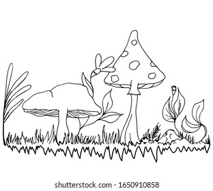 Linear drawing of mushrooms, flowers and leaves, forest edge with plants. Suitable for presentations, websites, books on biology, children's coloring.Drawn by a black pen on a white background, vector