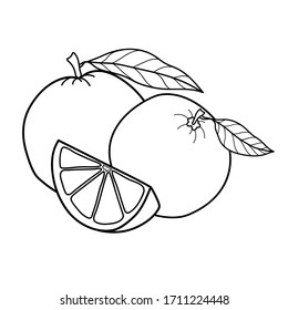 Linear drawing orange isolated on white background. Sketch for coloring booking page. Vector illustration