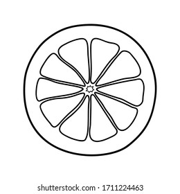 Linear drawing orange isolated on white background. Sketch for coloring booking page. Vector illustration