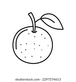  linear drawing oranges isolated on white background. Sketch for coloring booking page. Vector illustration