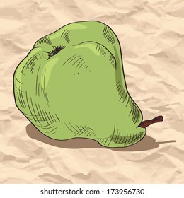 linear drawing pear at paper, vector illustration