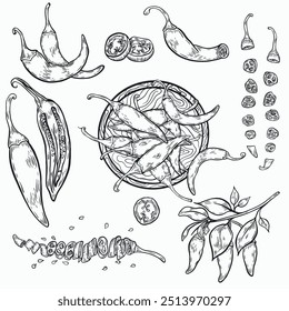 Desenho linear da pimenta. Pimenta vintage, frutas floridas e ramos para rótulo. Vetor preto tinta contorno de comida esboço ilustração com suculento pedaço de pimentão e casca de legumes para alimentos saudáveis