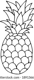 
Linear drawing of pineapple isolated on white background. Vector illustration.