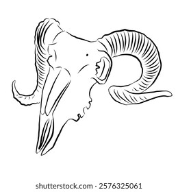 Linear drawing of a ram skull. Vector illustration, logo