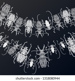 Linear drawing set of insects Beetle. Isolated. Vector illustration Decorative graphics. Tattoo art design coloring for adults.