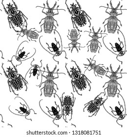 Linear drawing set of insects Beetle. Isolated on white. Vector illustration Decorative graphics. Tattoo art design coloring for adults.