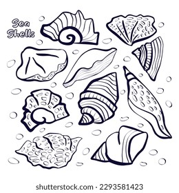 Linear drawing set of seashells. Texture of ovals and stripes. Ten objects of different shapes. Coloring book. Dark blue outline. For children's creativity, postcards, patterns.