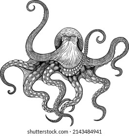 linear drawing silhouette engraving octopus with tentacles pencil shaded