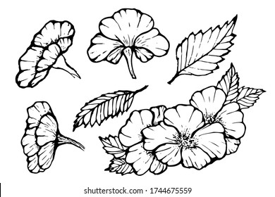 Linear drawing, a simple sketch of colors from different angles.