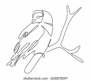 linear drawing of a small owl sitting on a branch. A small portrait of an owl. An owl on a tree.