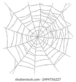 Linear drawing of spider web with dew droplets isolated on white. Vector illustration