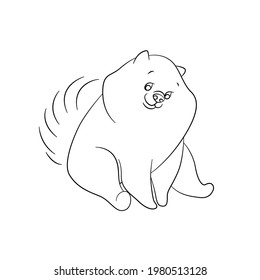 Linear drawing of a Spitz dog. Color vector illustration isolated on white background.