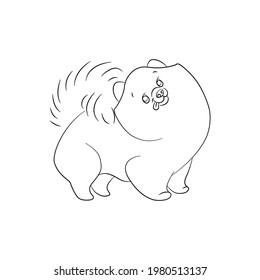 Linear drawing of a Spitz dog. Color vector illustration isolated on white background.