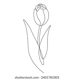 Dibujo lineal de una flor tulipán. Línea negra continua sobre un fondo blanco. Elemento aislado, boceto botánico.