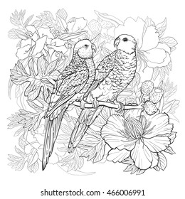 Linear drawing of two parrots and exotic flowers for coloring book.