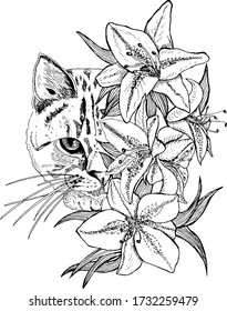 Linear drawing, vector graphics. Cat in flowers, lilies