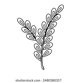 linear dried flower reed, vector illustration Doodle style.