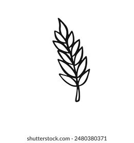 linear dried flower spikelet, vector illustration Doodle style.