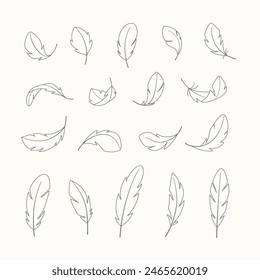 Linear feathers in different positions