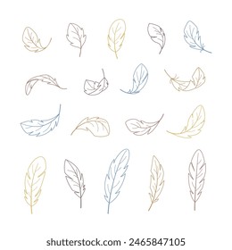 Linear feathers in different positions