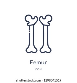 Linear femur icon from Medical outline collection. Thin line femur icon isolated on white background. femur trendy illustration