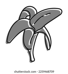 Linear filled with gray color icon, Peeled Banana Fruit. Fruit Diet And Healthy Eating. Simple black and white vector Isolated On white background