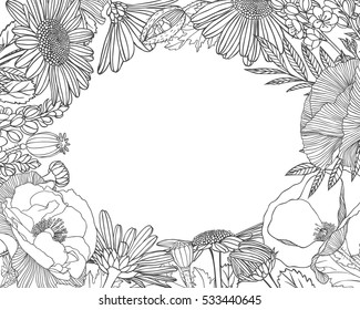 Linear floral frame. Vector background