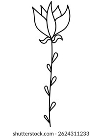 Flor lineal en estilo doodle, planta de contorno con tallo alto y pétalos puntiagudos Ilustración vectorial para el diseño