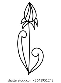 Linear flower in doodle style, outline plant with tall stem and rounded petals vector illustration for design
