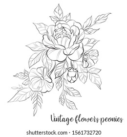 Linear flower pattern for tattoo. Drawn peonies in one line. Hand drawn plants. Peonies buds on a branch.