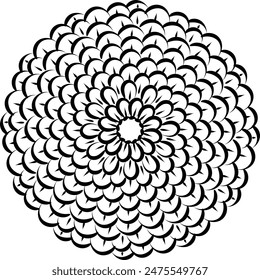 Linear Flower. Simple line art. Doodle ornament outline hand drawn illustration